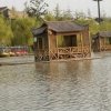 西北狼的头像