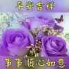王香的头像