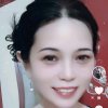 和平鸽的头像
