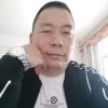 小马的头像