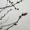 春暖花开的头像