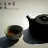 茶树的头像