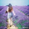 人生如梦◞︎ᶫᵒᵛᵉ的头像