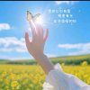 花语紫轩的头像