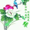 今世有缘的头像