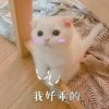 胖子【开学暂退】的头像