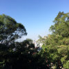 林的头像