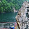 张恩波的头像
