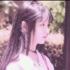 自由自在的头像