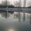 风雨人生的头像