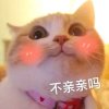 清风细雨你如沙的头像