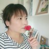 岁月如歌的头像