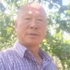 有惊无险的头像