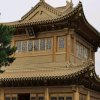 开心就好的头像