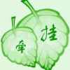 心随曲飞的头像