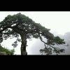岩松的头像