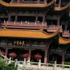 学唱的头像