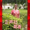 秦之声正声社红牡丹的头像
