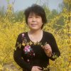 杨杨的头像
