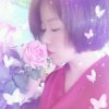 小燕子的头像