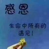 静待～花开（晚回访）的头像