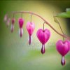 踏雪寻梅的头像