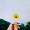 梦的头像