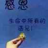 低调成就一切的头像