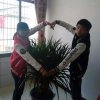 学无止境（电话：13134015578）的头像