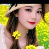 幸运之星的头像