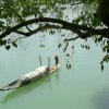 一川风絮的头像