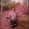 倪木匠的头像