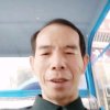 龙七对扛上花的头像