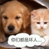 心若静风奈何的头像