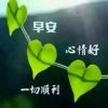 想开-看淡的头像