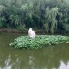 小月的头像