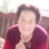 海棠百善孝为先的头像