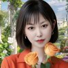 平平安安的头像