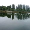 云峰的头像