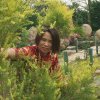 梦芝旅的头像
