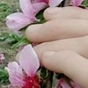 ，的头像