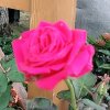 流星雨的头像