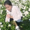 往事如烟的头像