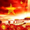 赵赵的头像
