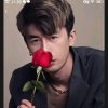 小白鹅的头像