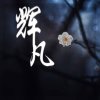 辉凡的头像