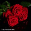 贵族♚星梦《微信》的头像
