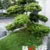 熠熠生辉的头像