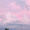 淡淡乡韵的头像