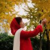 杏叶飘飞的头像